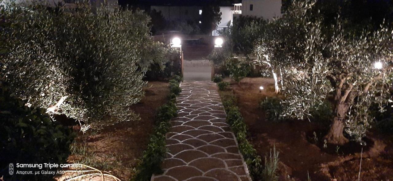 Ranias House Διαμέρισμα Αντίπαρος Εξωτερικό φωτογραφία