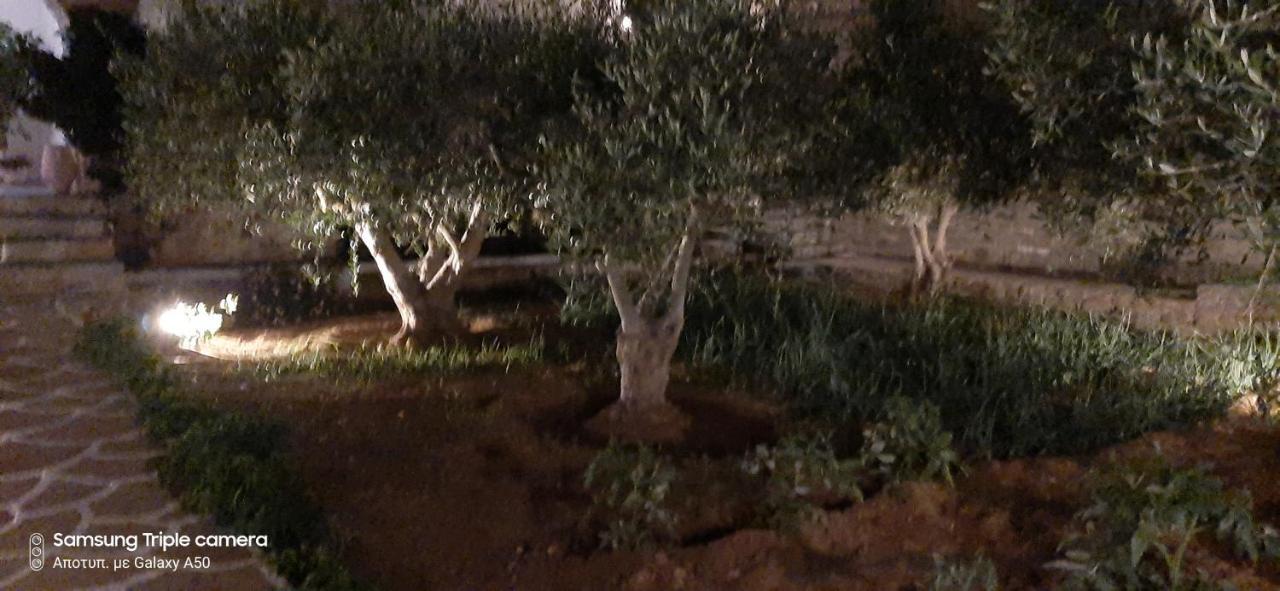 Ranias House Διαμέρισμα Αντίπαρος Εξωτερικό φωτογραφία